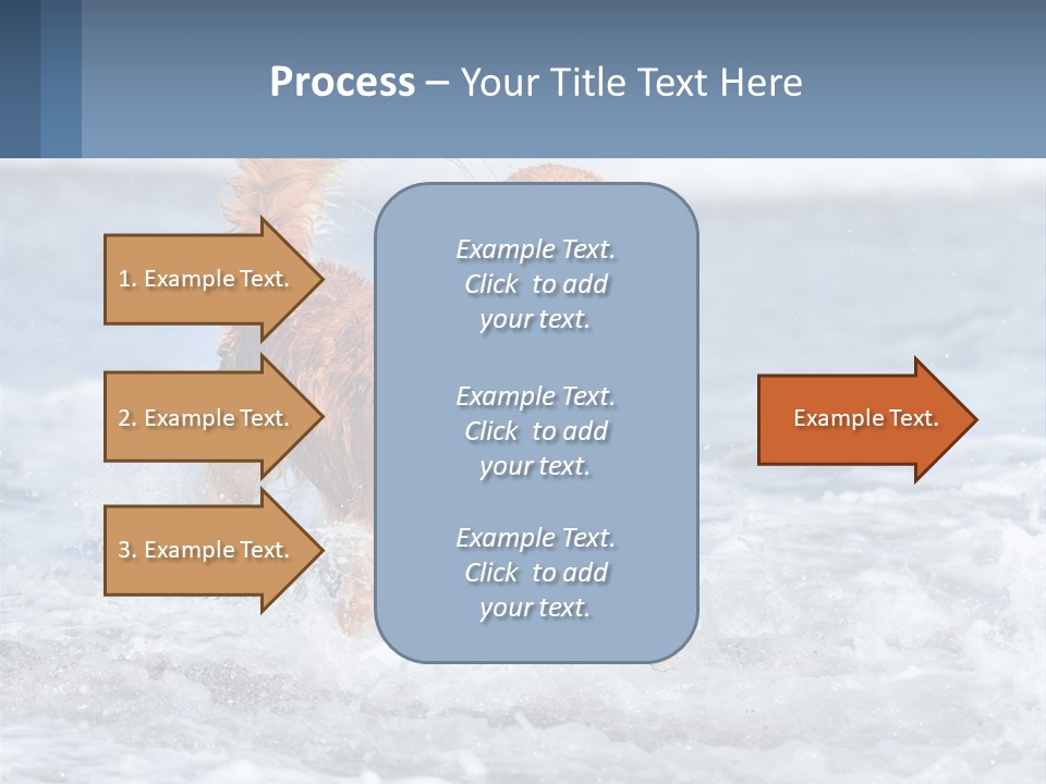A Brown Dog Running Through The Ocean Waves PowerPoint Template