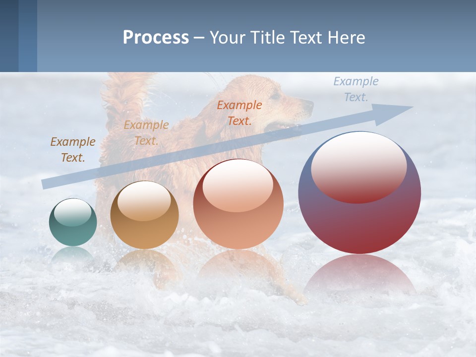 A Brown Dog Running Through The Ocean Waves PowerPoint Template