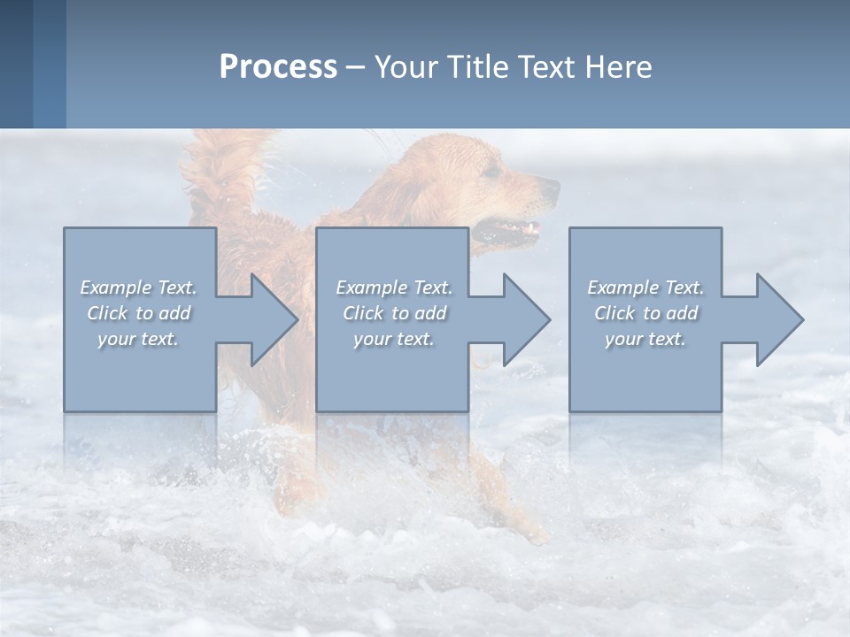 A Brown Dog Running Through The Ocean Waves PowerPoint Template