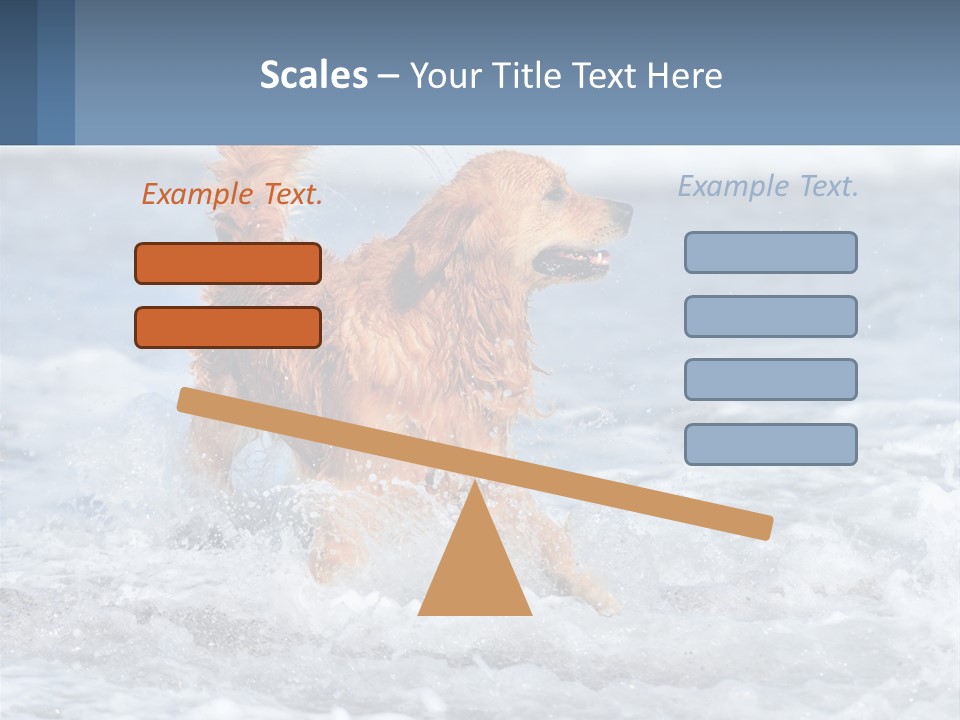 A Brown Dog Running Through The Ocean Waves PowerPoint Template