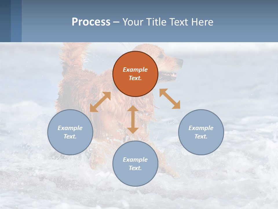 A Brown Dog Running Through The Ocean Waves PowerPoint Template