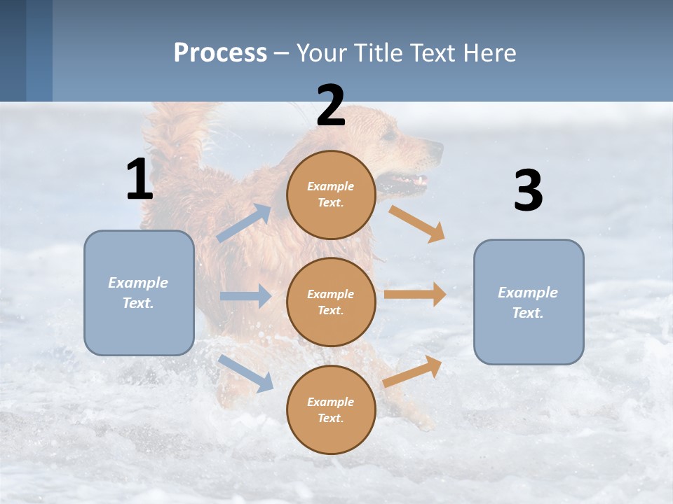 A Brown Dog Running Through The Ocean Waves PowerPoint Template