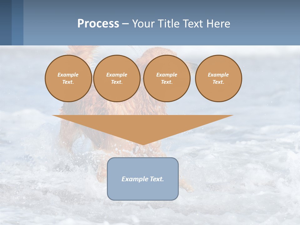 A Brown Dog Running Through The Ocean Waves PowerPoint Template