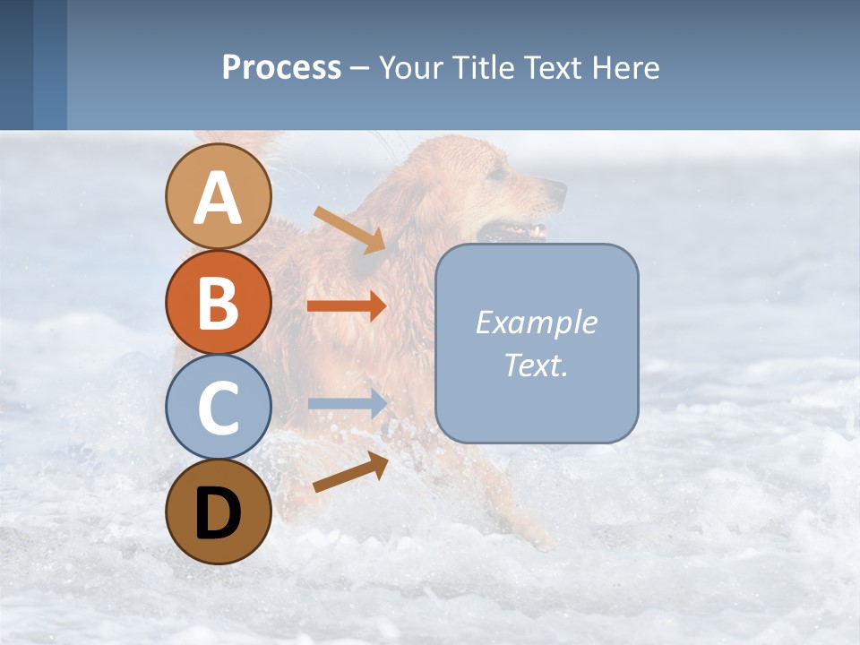 A Brown Dog Running Through The Ocean Waves PowerPoint Template