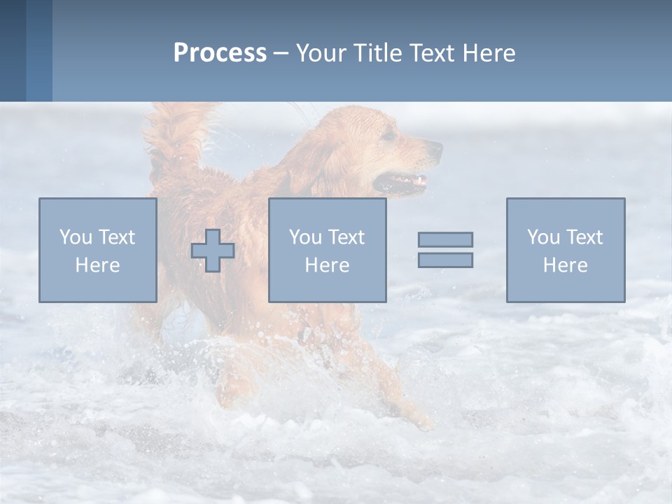 A Brown Dog Running Through The Ocean Waves PowerPoint Template