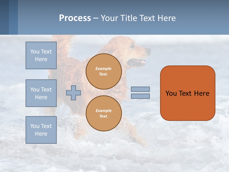 A Brown Dog Running Through The Ocean Waves PowerPoint Template