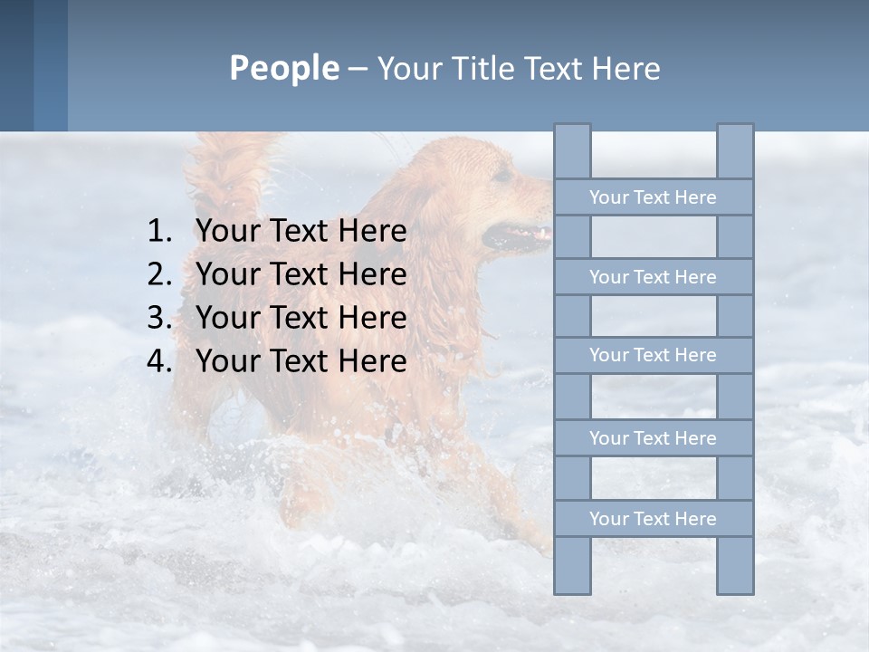 A Brown Dog Running Through The Ocean Waves PowerPoint Template