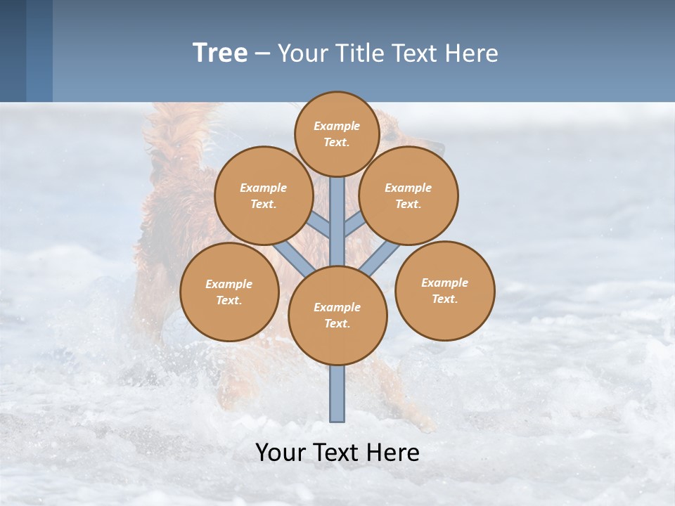 A Brown Dog Running Through The Ocean Waves PowerPoint Template