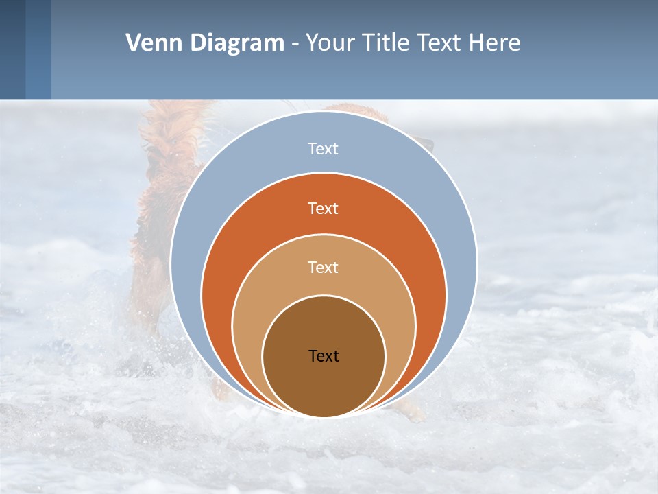 A Brown Dog Running Through The Ocean Waves PowerPoint Template