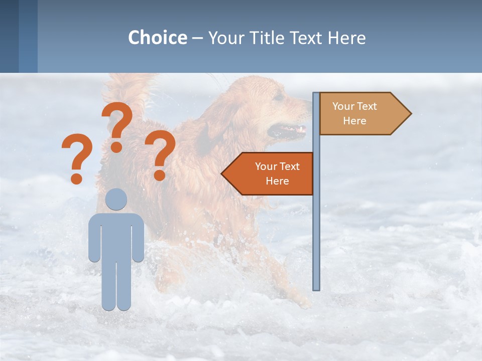 A Brown Dog Running Through The Ocean Waves PowerPoint Template