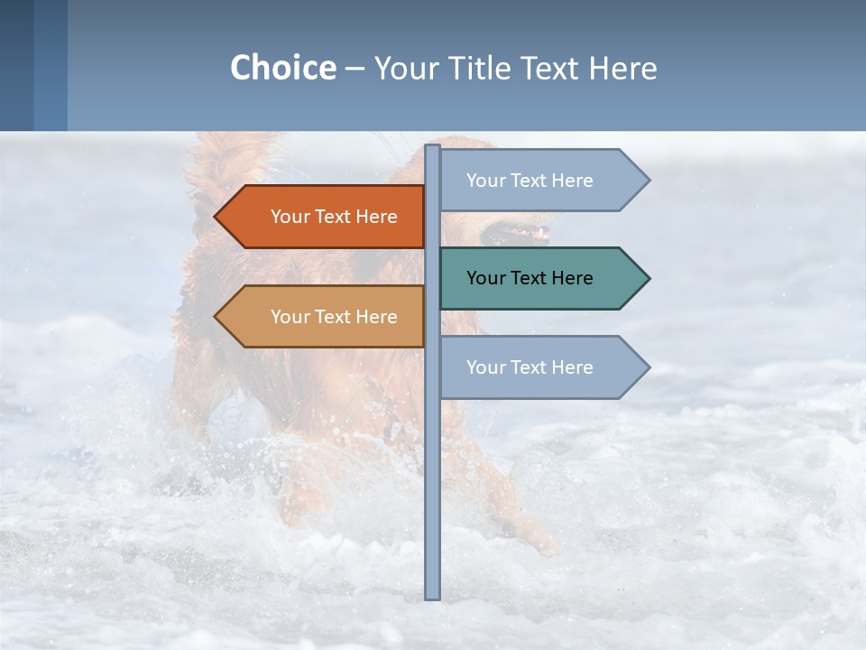 A Brown Dog Running Through The Ocean Waves PowerPoint Template