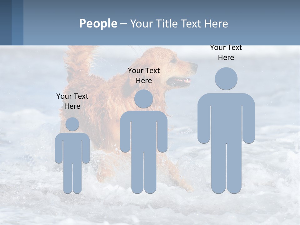 A Brown Dog Running Through The Ocean Waves PowerPoint Template
