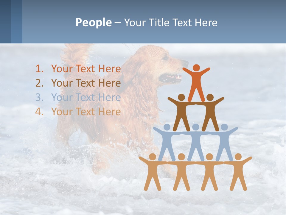 A Brown Dog Running Through The Ocean Waves PowerPoint Template