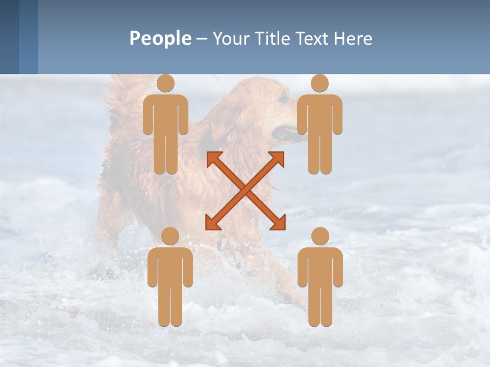 A Brown Dog Running Through The Ocean Waves PowerPoint Template