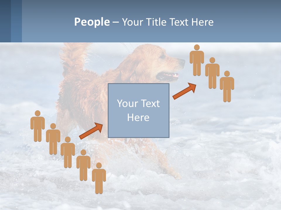A Brown Dog Running Through The Ocean Waves PowerPoint Template