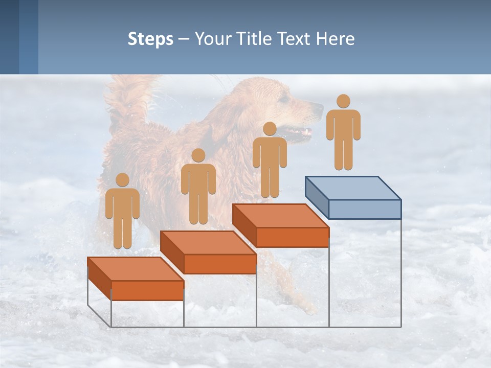 A Brown Dog Running Through The Ocean Waves PowerPoint Template