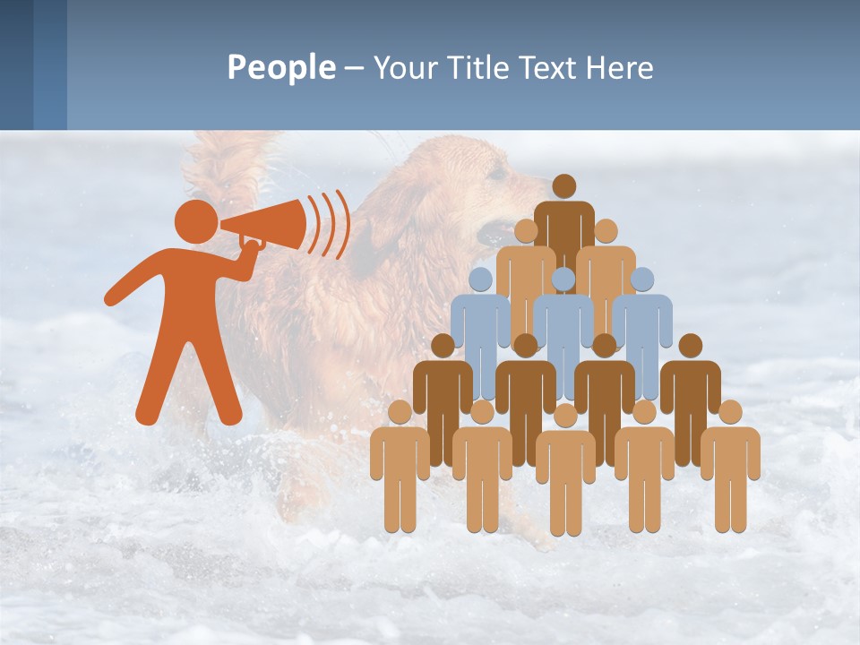 A Brown Dog Running Through The Ocean Waves PowerPoint Template