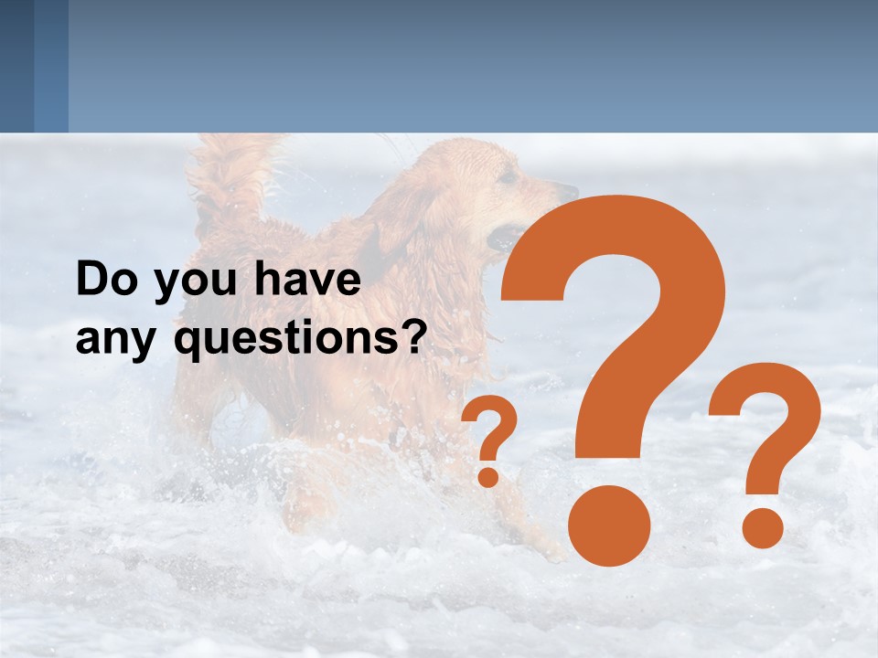 A Brown Dog Running Through The Ocean Waves PowerPoint Template