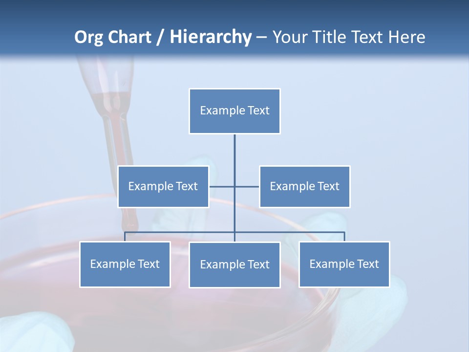 A Red Liquid In A Bowl With Gloves On It PowerPoint Template