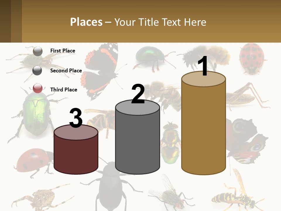 A Group Of Bugs And Bees On A White Background PowerPoint Template