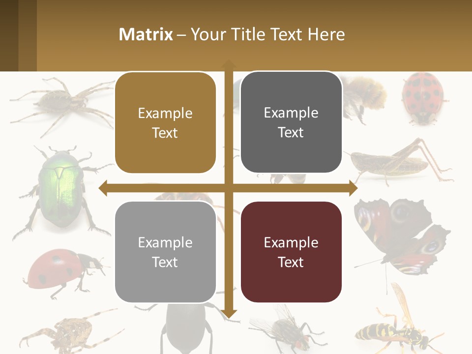 A Group Of Bugs And Bees On A White Background PowerPoint Template