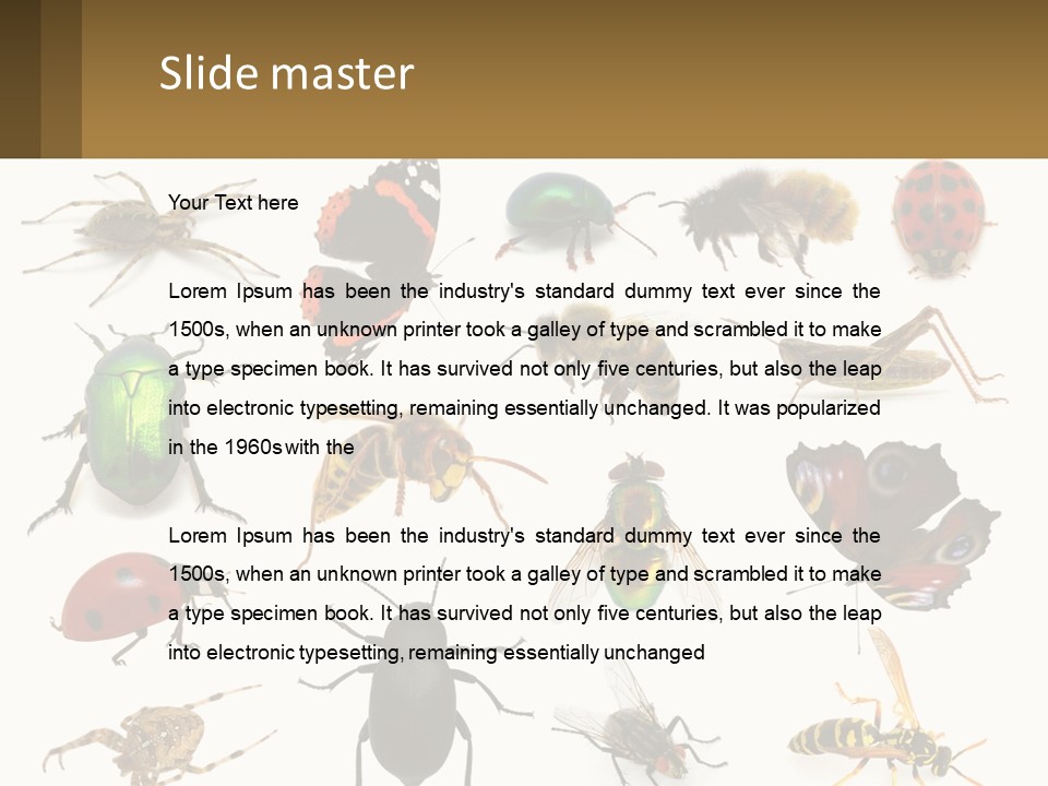 A Group Of Bugs And Bees On A White Background PowerPoint Template