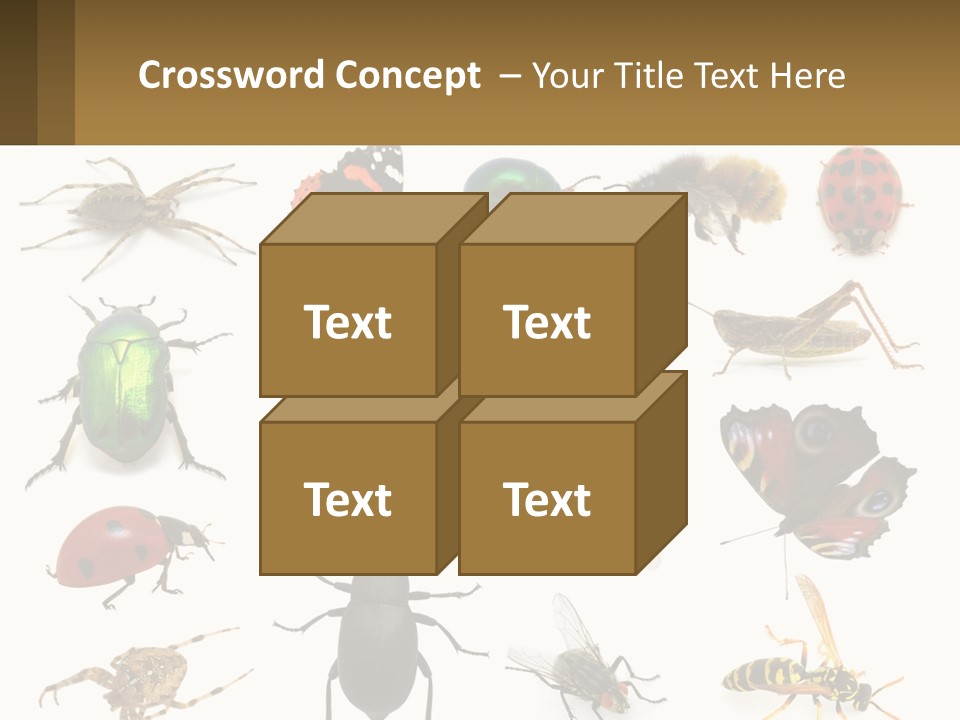 A Group Of Bugs And Bees On A White Background PowerPoint Template