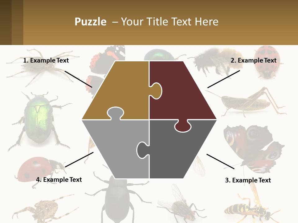 A Group Of Bugs And Bees On A White Background PowerPoint Template