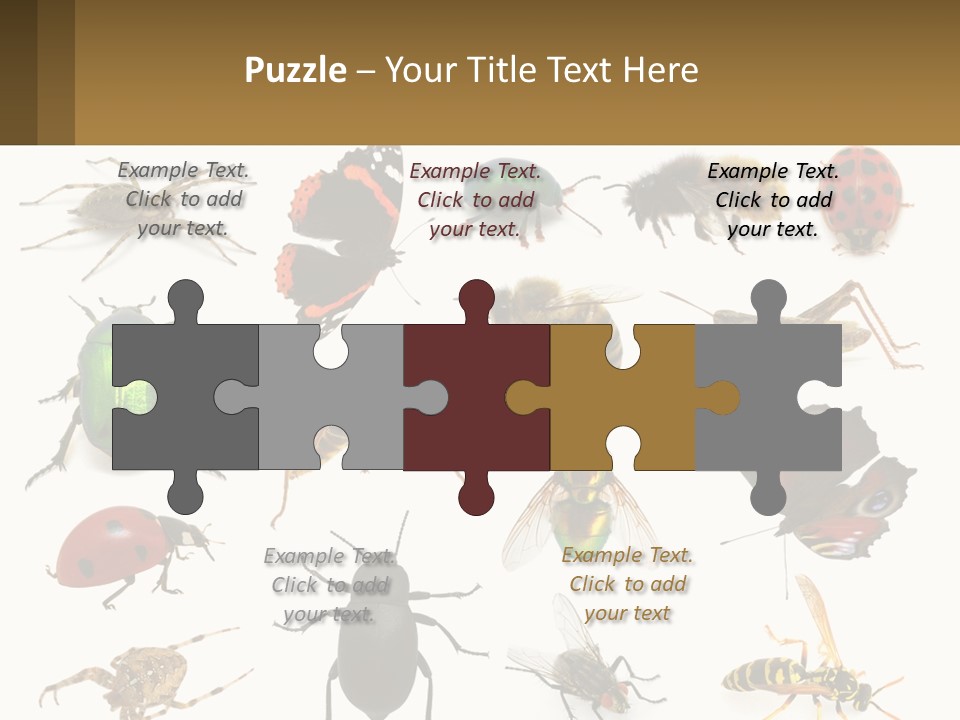 A Group Of Bugs And Bees On A White Background PowerPoint Template