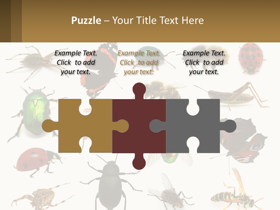 A Group Of Bugs And Bees On A White Background PowerPoint Template
