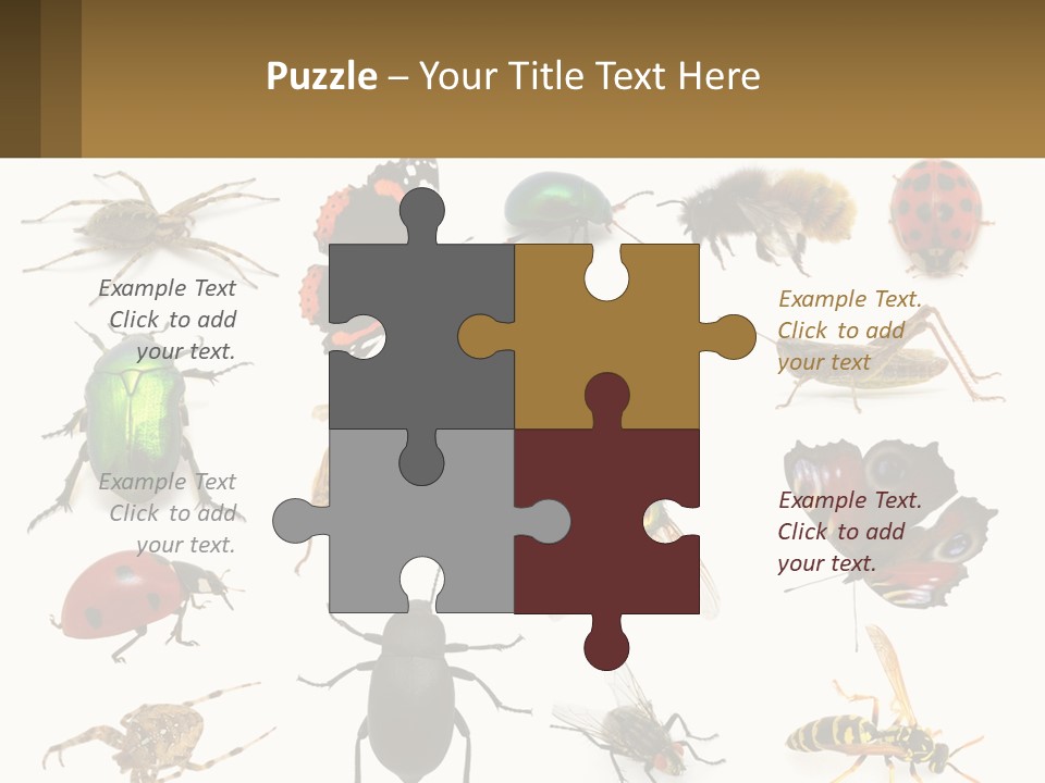 A Group Of Bugs And Bees On A White Background PowerPoint Template