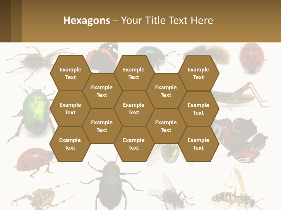 A Group Of Bugs And Bees On A White Background PowerPoint Template