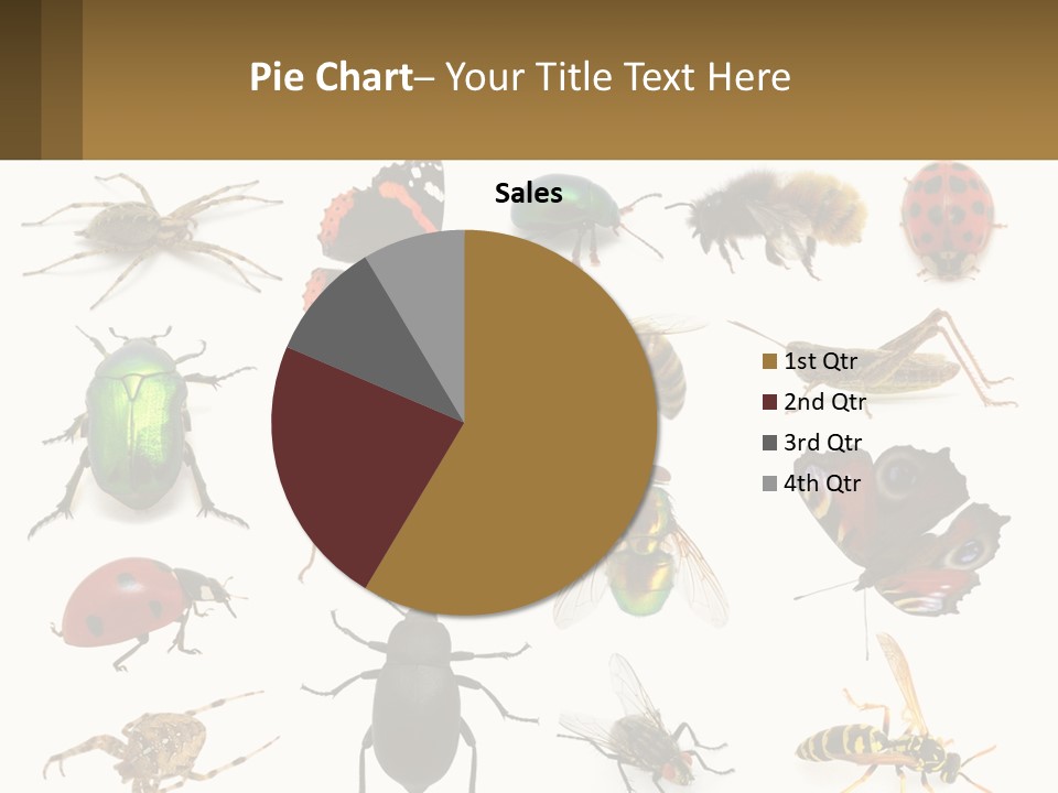 A Group Of Bugs And Bees On A White Background PowerPoint Template