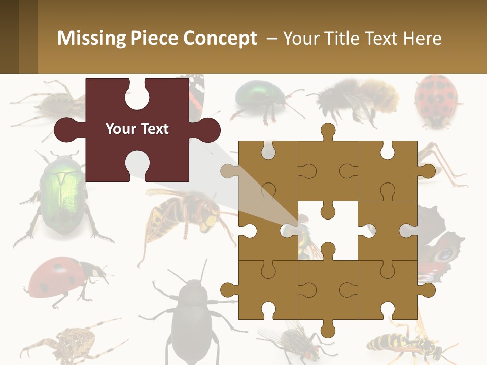 A Group Of Bugs And Bees On A White Background PowerPoint Template