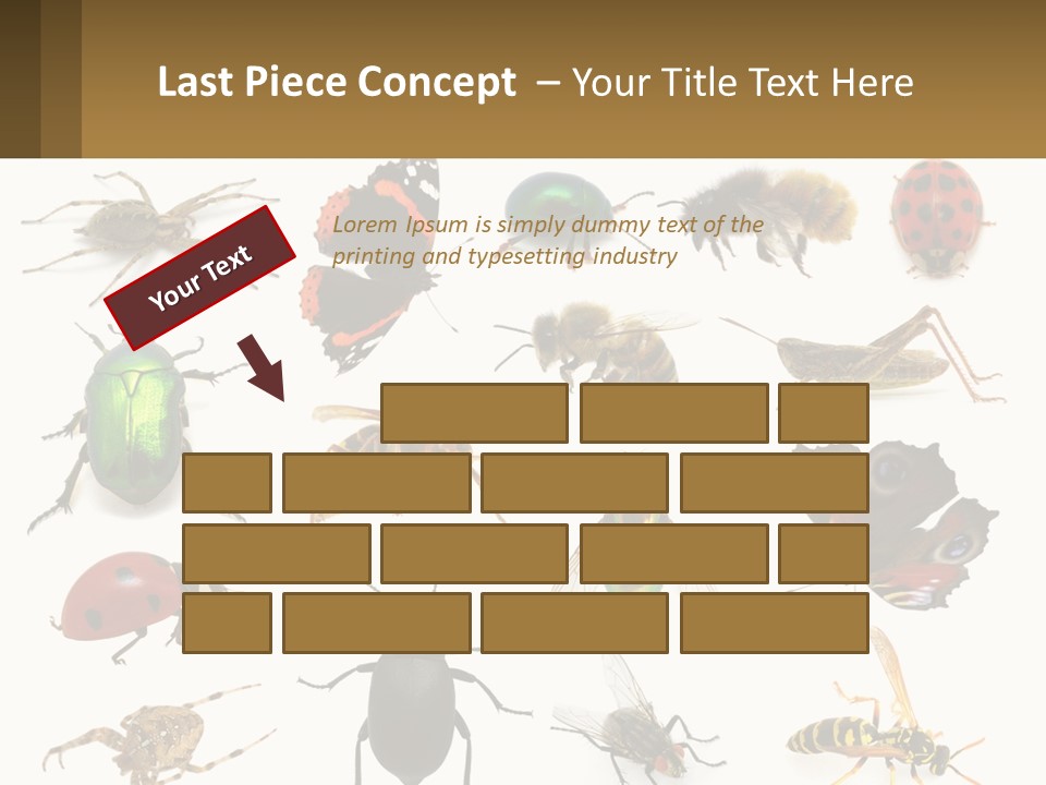 A Group Of Bugs And Bees On A White Background PowerPoint Template