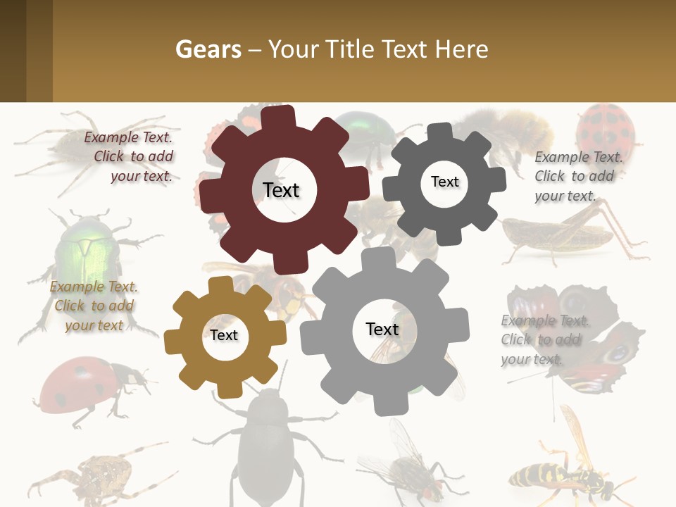 A Group Of Bugs And Bees On A White Background PowerPoint Template