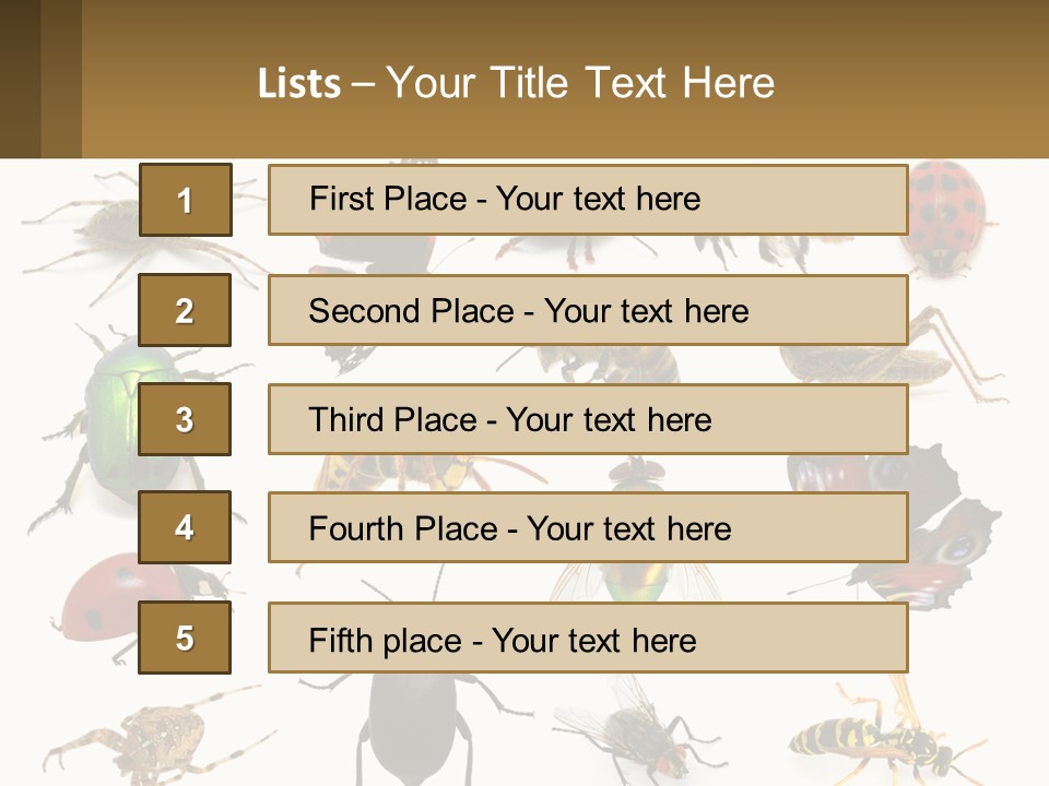 A Group Of Bugs And Bees On A White Background PowerPoint Template