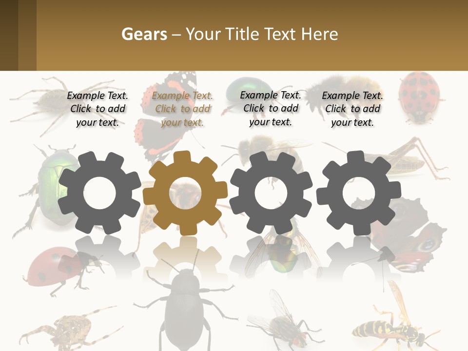 A Group Of Bugs And Bees On A White Background PowerPoint Template