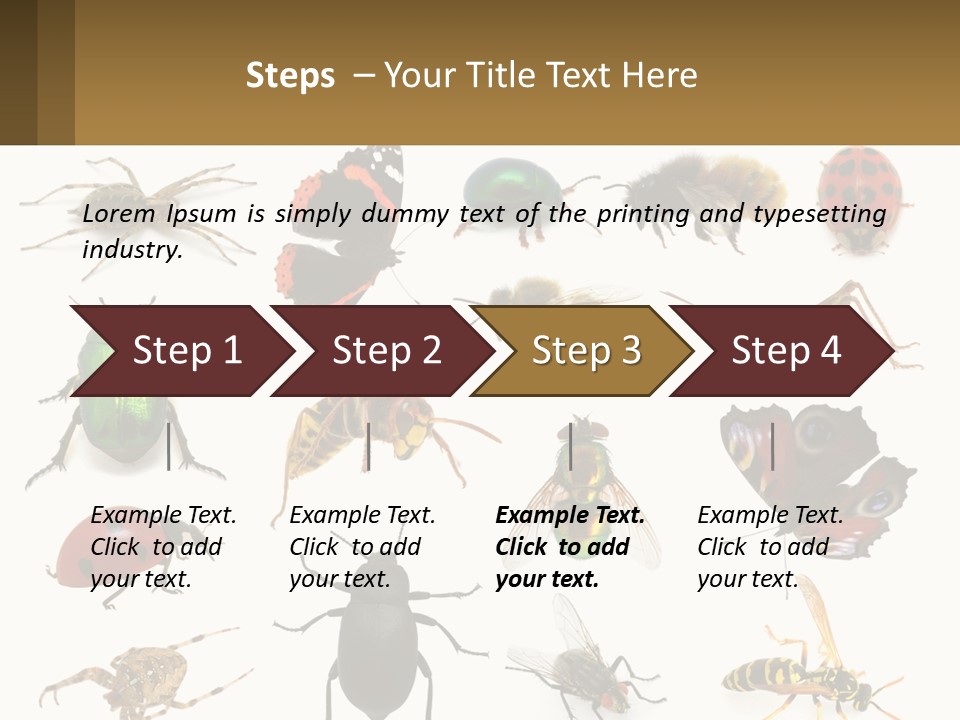 A Group Of Bugs And Bees On A White Background PowerPoint Template