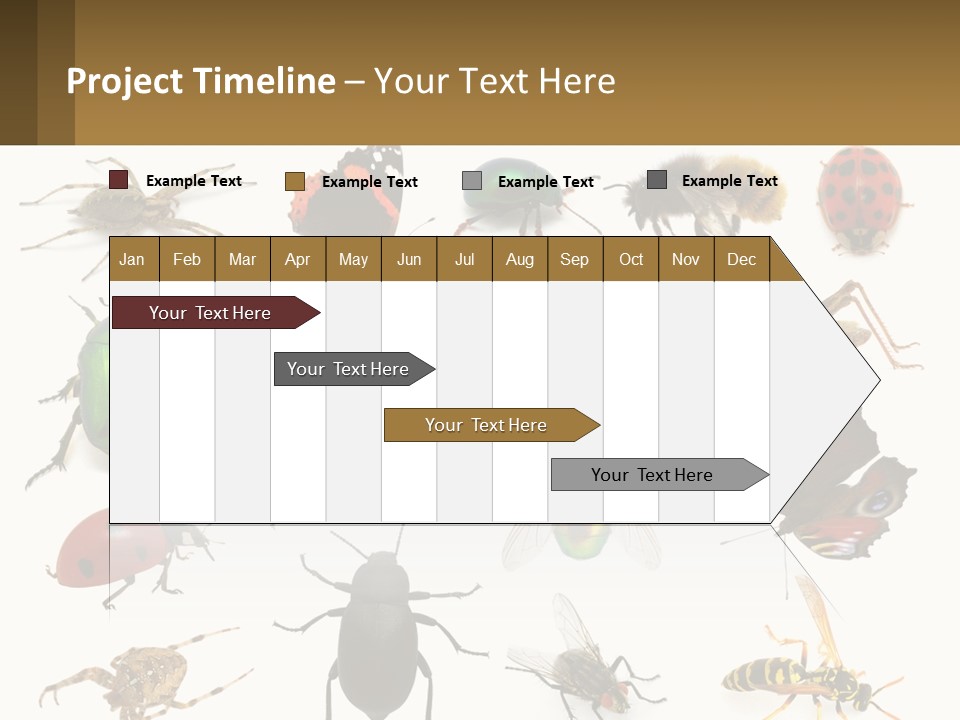 A Group Of Bugs And Bees On A White Background PowerPoint Template