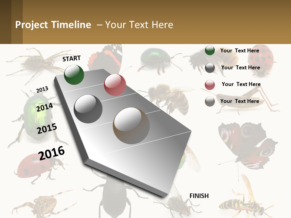 A Group Of Bugs And Bees On A White Background PowerPoint Template