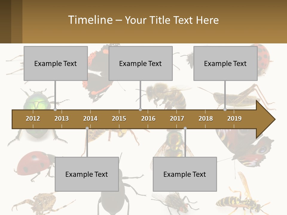 A Group Of Bugs And Bees On A White Background PowerPoint Template