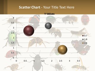 A Group Of Bugs And Bees On A White Background PowerPoint Template