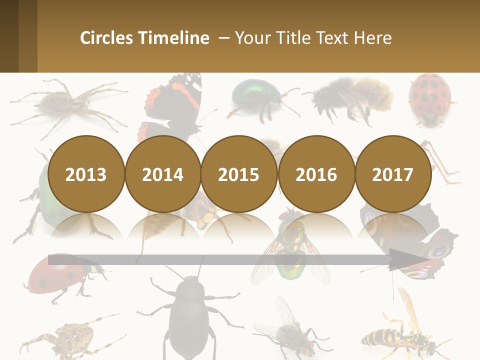 A Group Of Bugs And Bees On A White Background PowerPoint Template