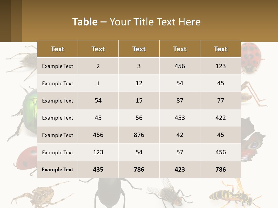 A Group Of Bugs And Bees On A White Background PowerPoint Template
