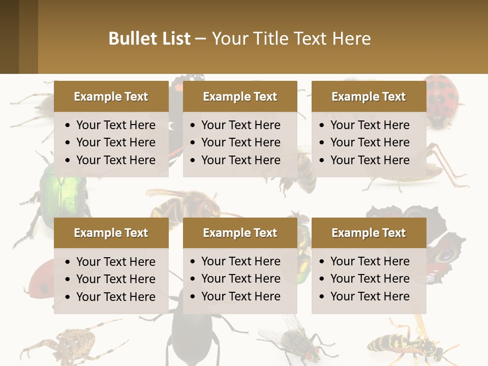 A Group Of Bugs And Bees On A White Background PowerPoint Template
