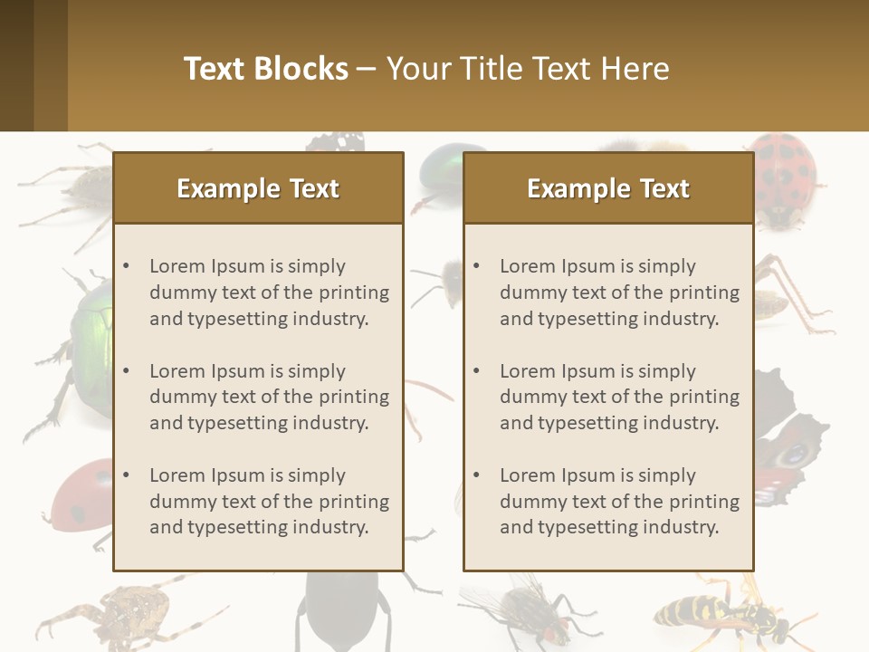 A Group Of Bugs And Bees On A White Background PowerPoint Template