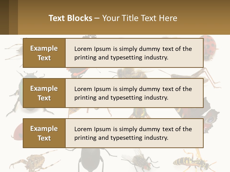 A Group Of Bugs And Bees On A White Background PowerPoint Template