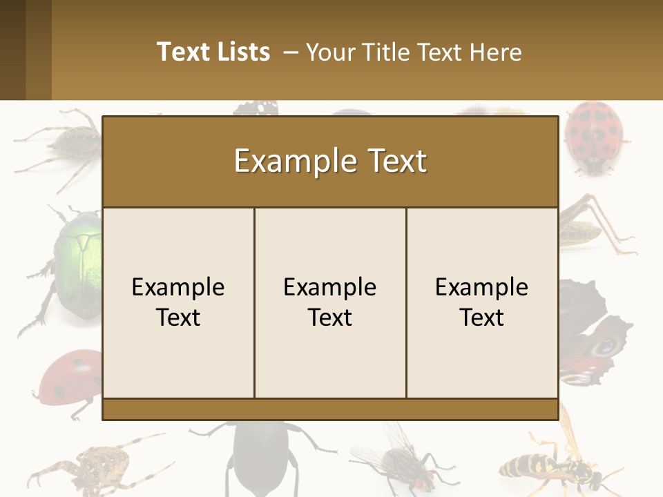 A Group Of Bugs And Bees On A White Background PowerPoint Template
