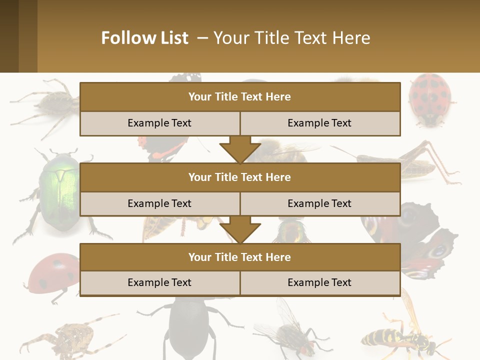 A Group Of Bugs And Bees On A White Background PowerPoint Template